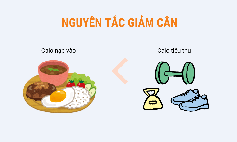 nguyên tắc giảm cân hiệu quả