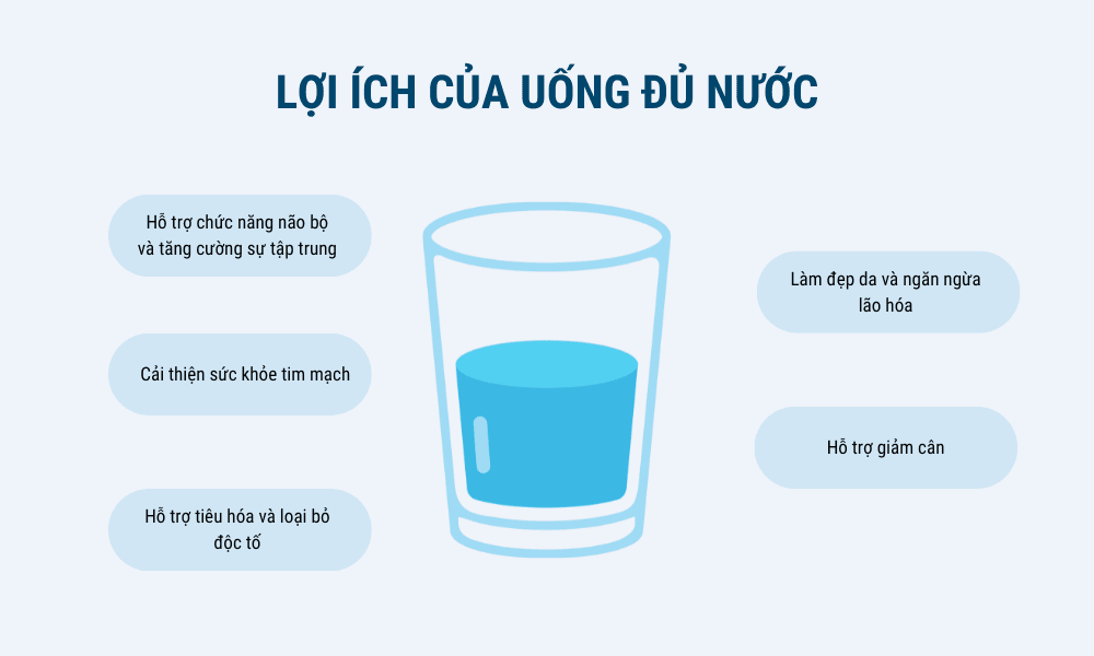 infographic lợi ích của việc uống đủ nước